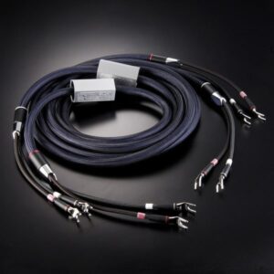 Cavi audio con connettori metallici su sfondo nero