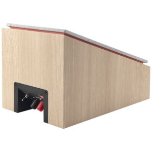 Cassa acustica in legno con controllo posteriore