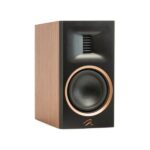 Martin Logan Motion XT B100