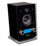 McIntosh RS 100