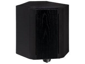 Subwoofer nero dal design moderno