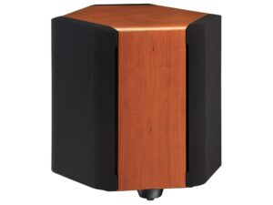 Subwoofer esagonale in legno e nero