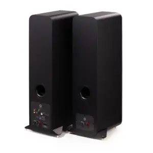 Casse audio nere, retro con connessioni.