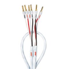 Cavi audio bianchi con connettori dorati.