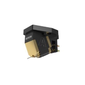 Avid Boron (MC)