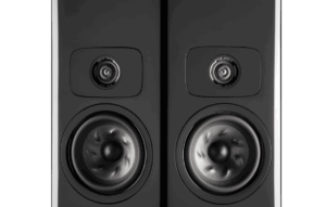 Primo piano su due altoparlanti stereo neri