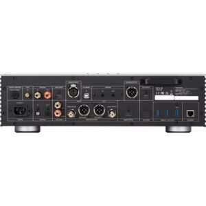 Pannello posteriore del lettore musicale ROSE RS151 con diverse porte di connessione