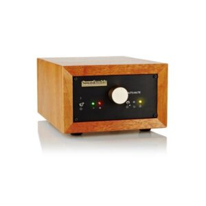 Amplificatore audio in legno con controllo del volume