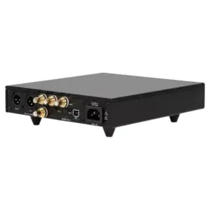 DAC Denafrips ERATO R2R visto da dietro con porte di connessione
