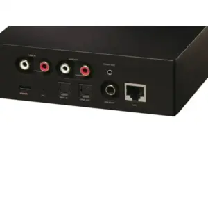 WiiM CI MOD S